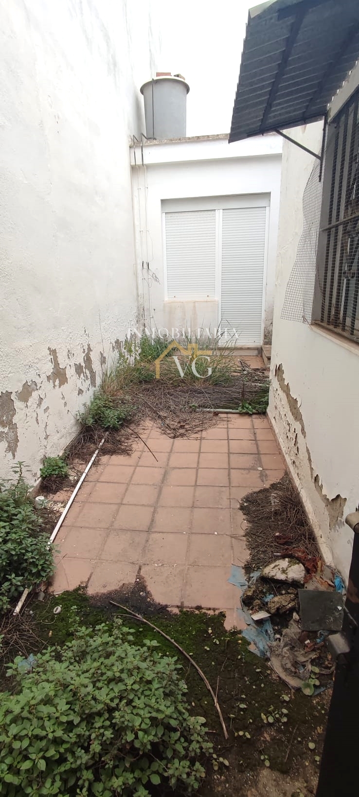 Imagen 7