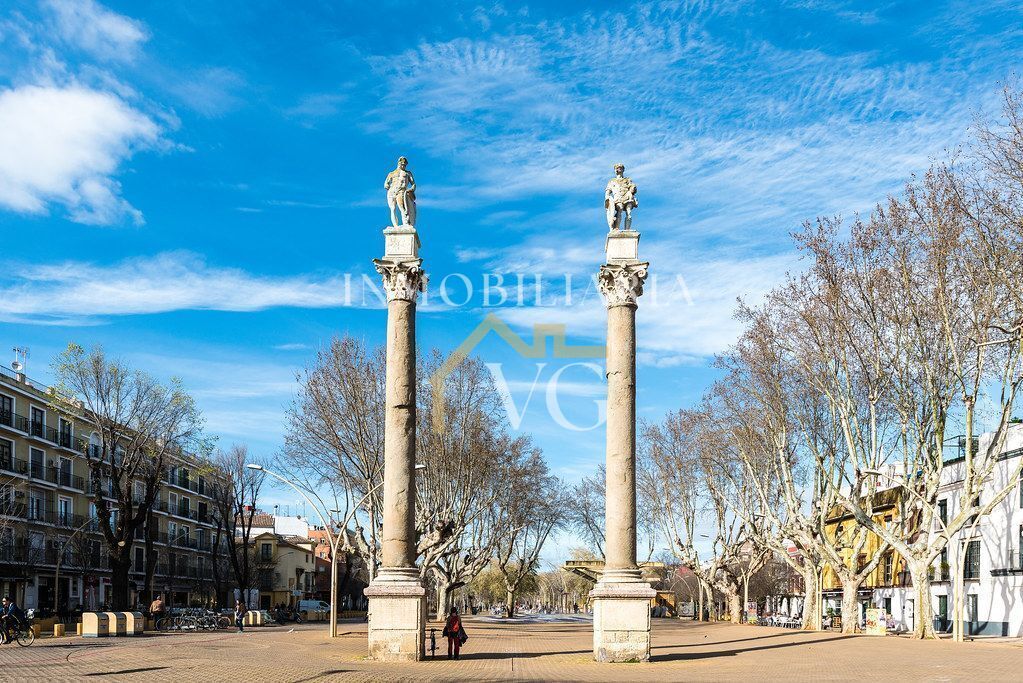 Imagen 12