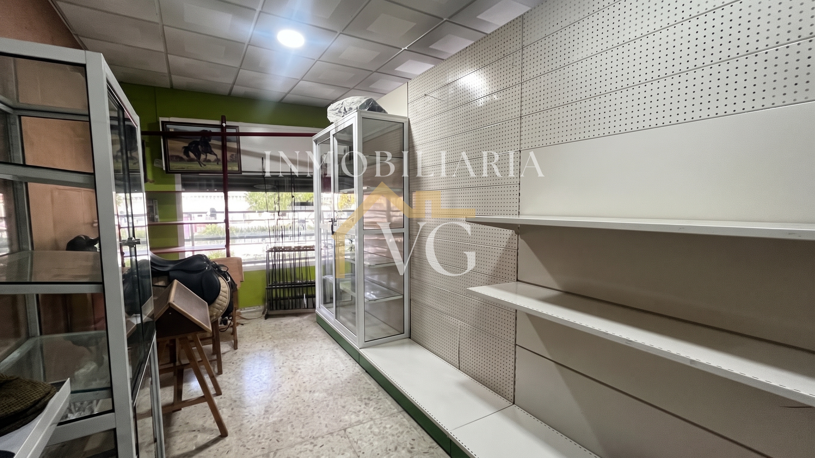 Imagen 6