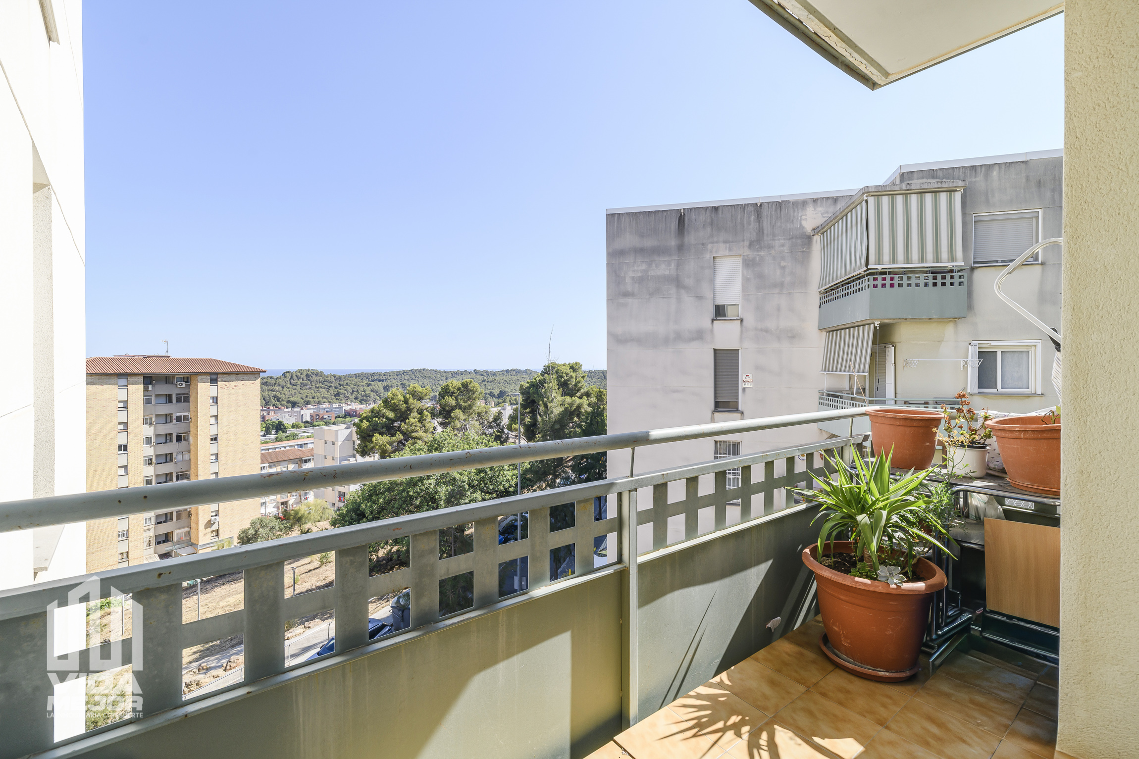 Image 23