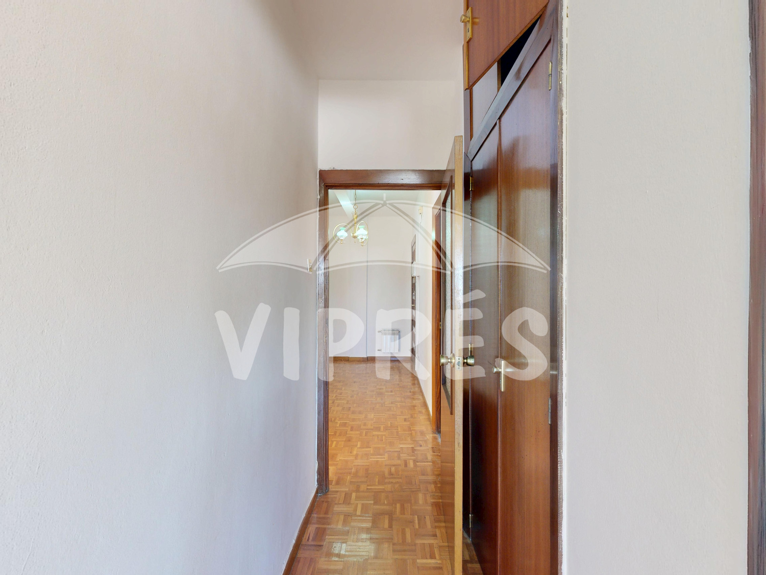 Imagen 15