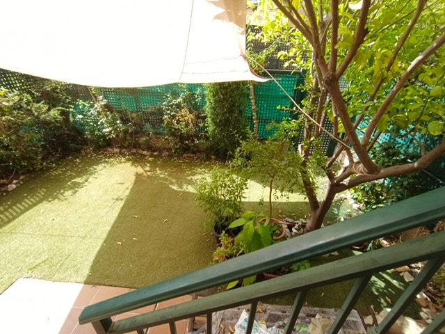 Imagen 7
