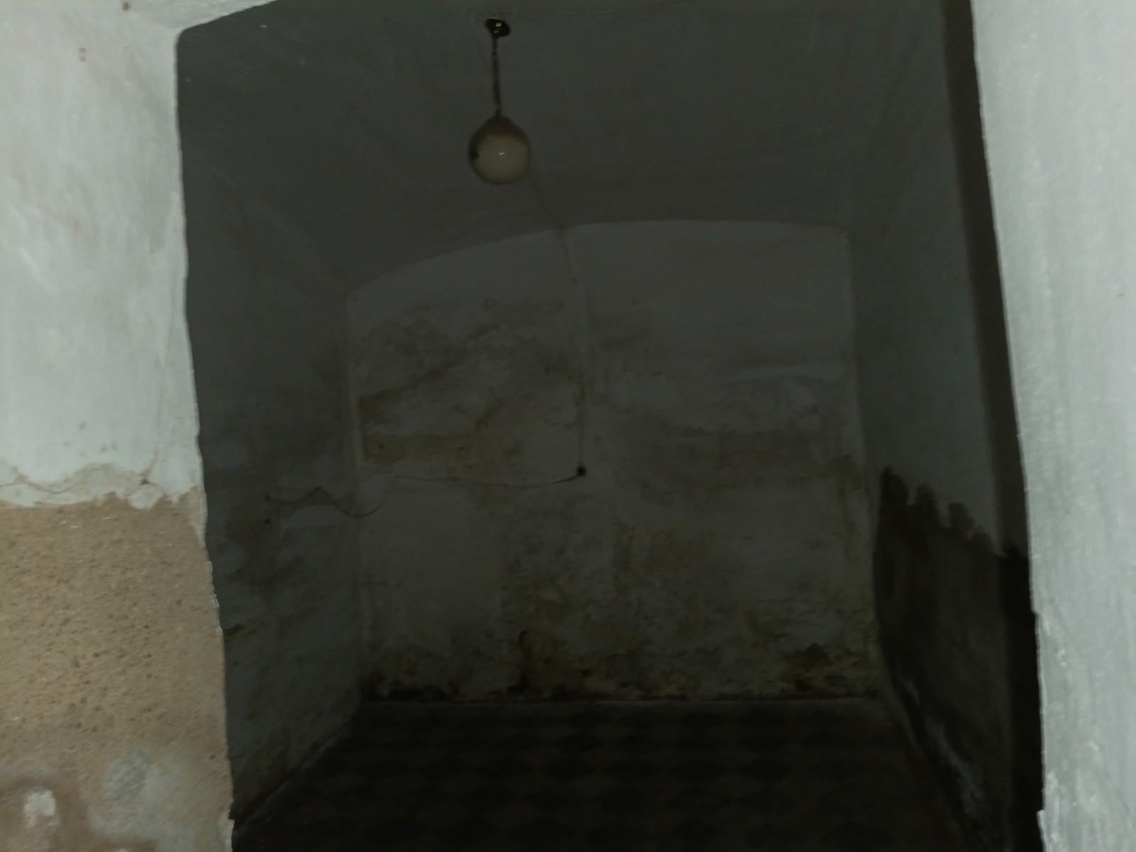 Imagen 6