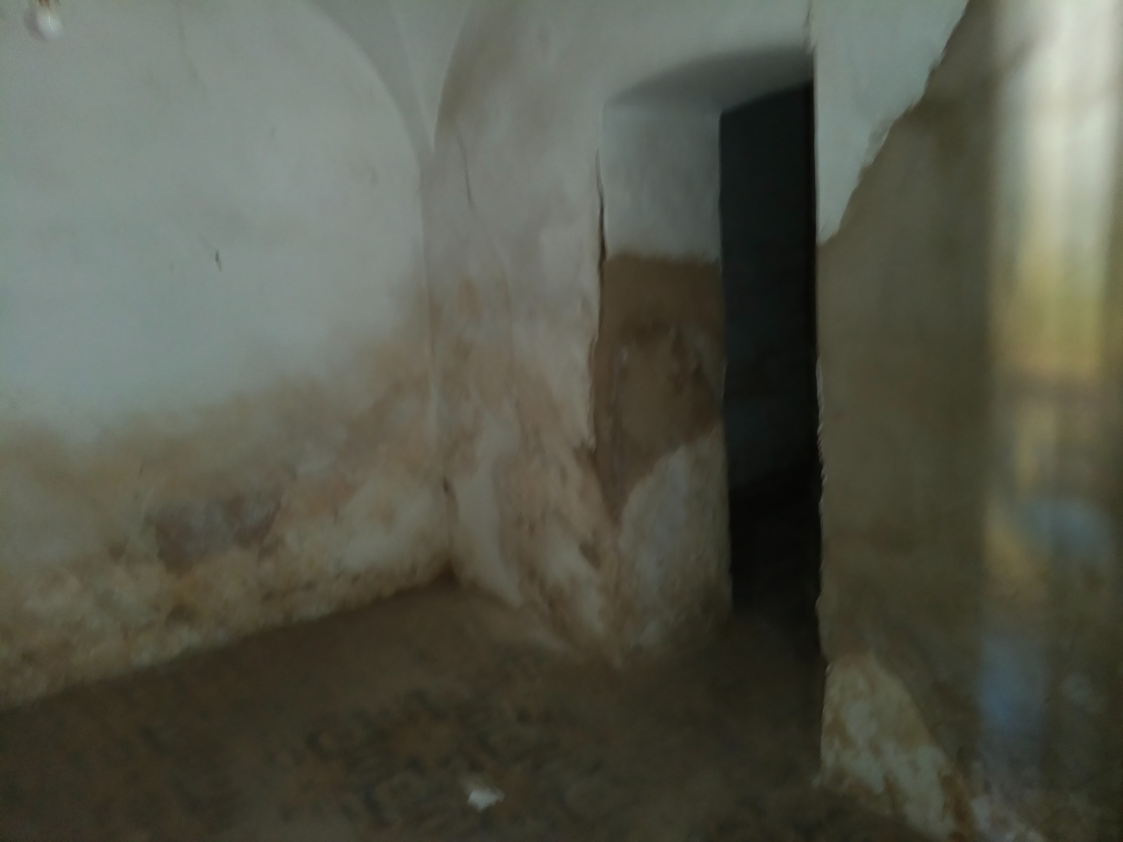 Imagen 7