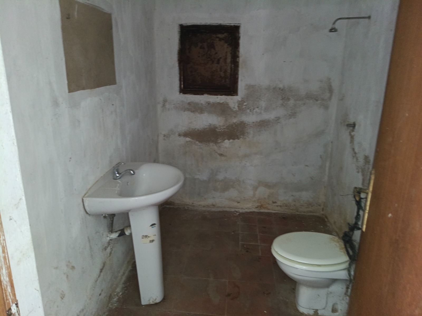 Imagen 9