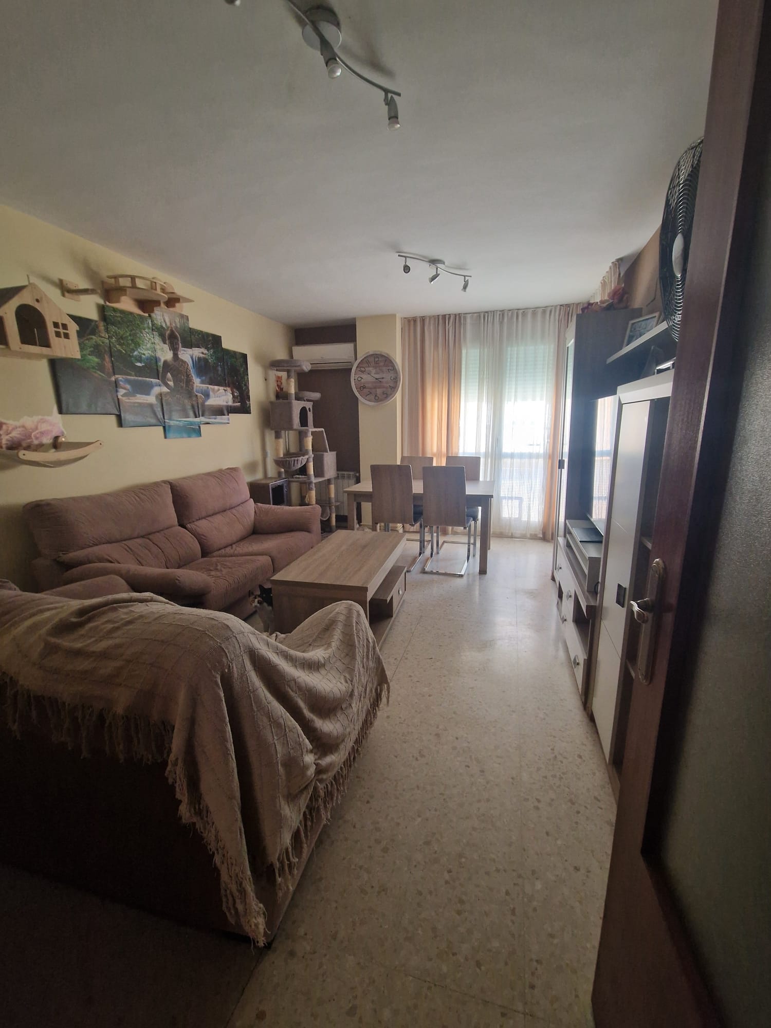 Imagen 9