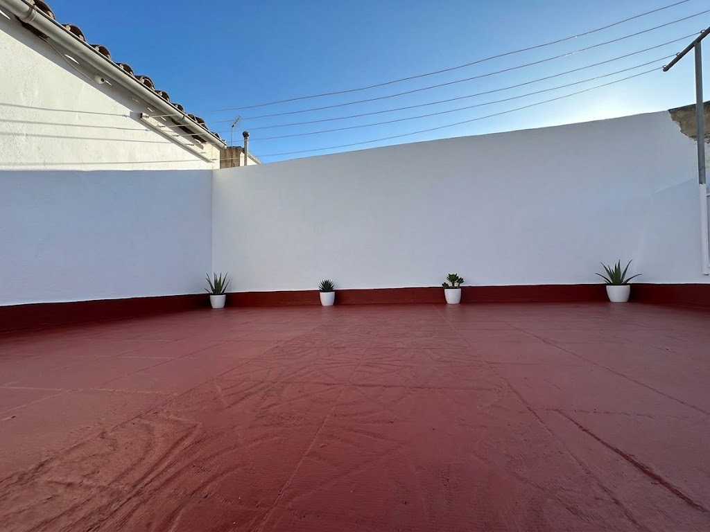 Imagen 7
