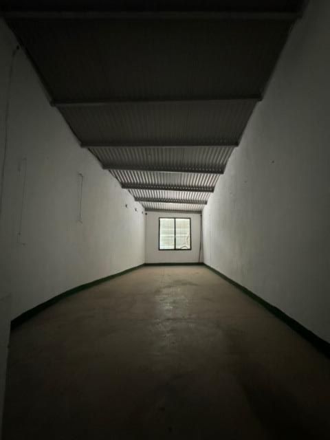 Imagen 16