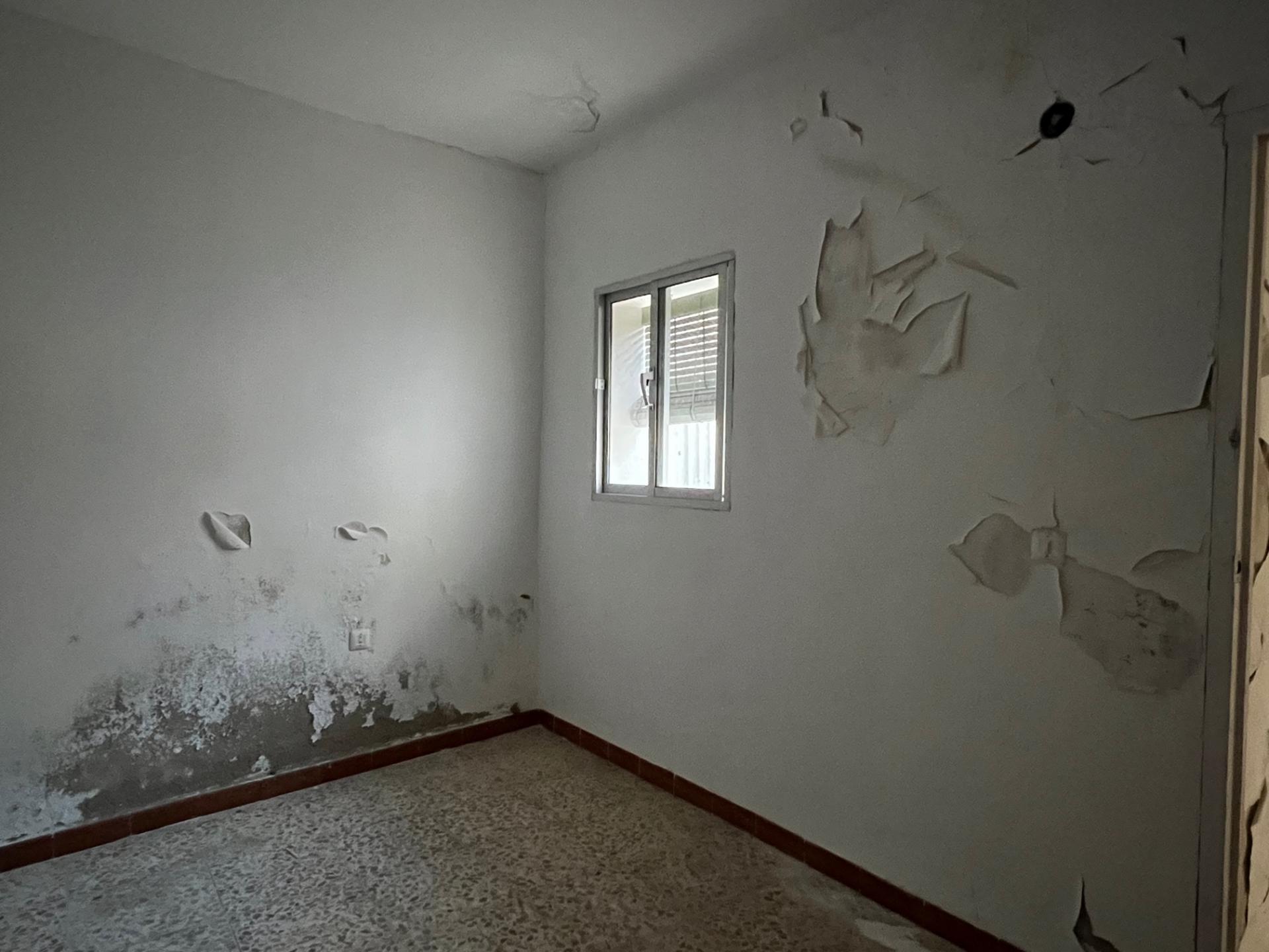 Imagen 10