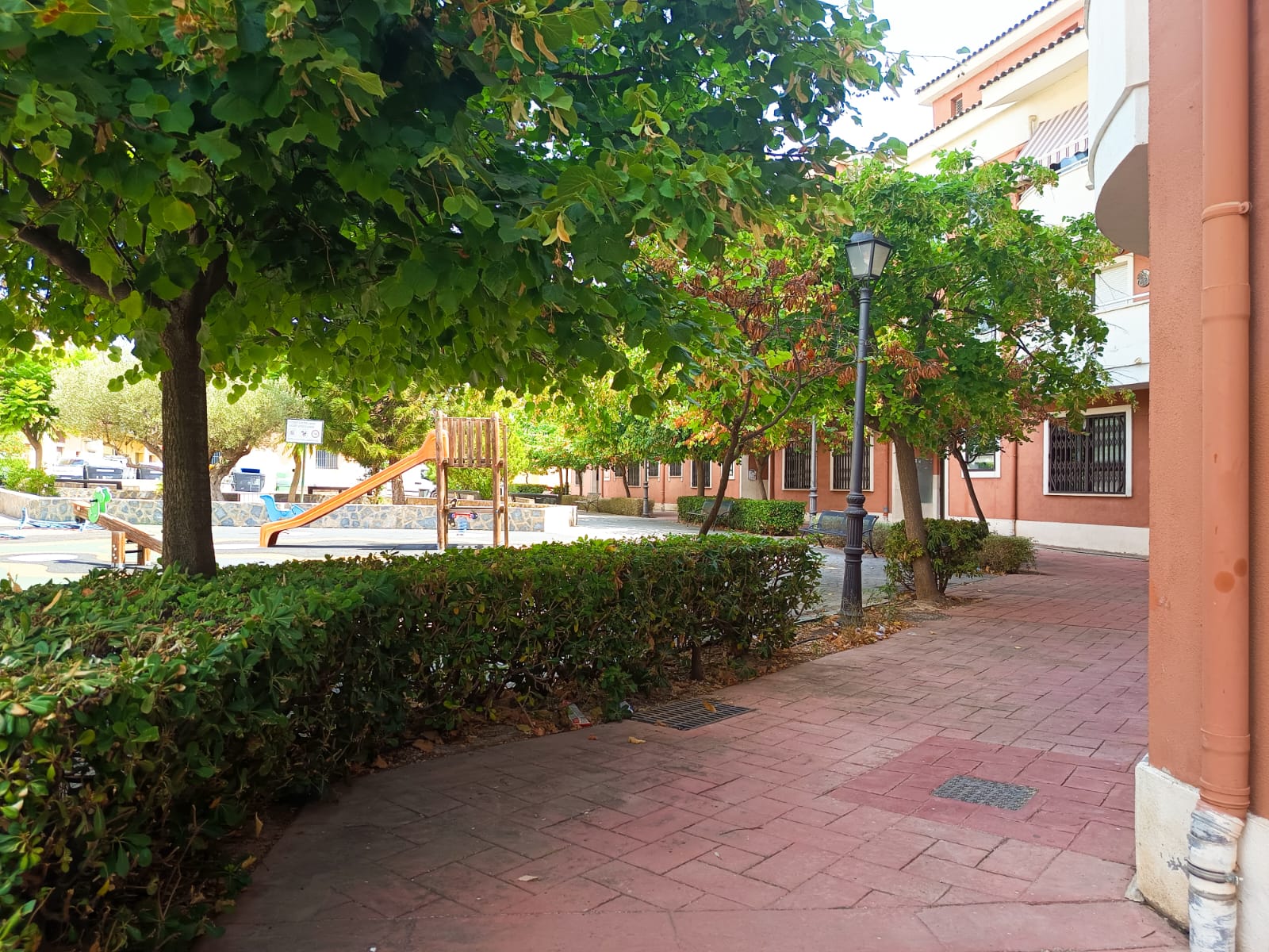 Imagen 26