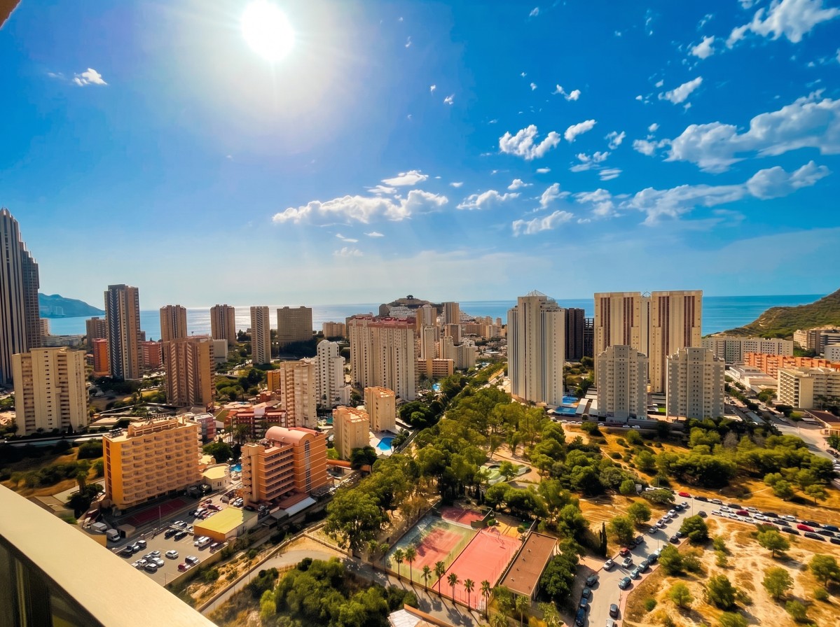 Imagen 11