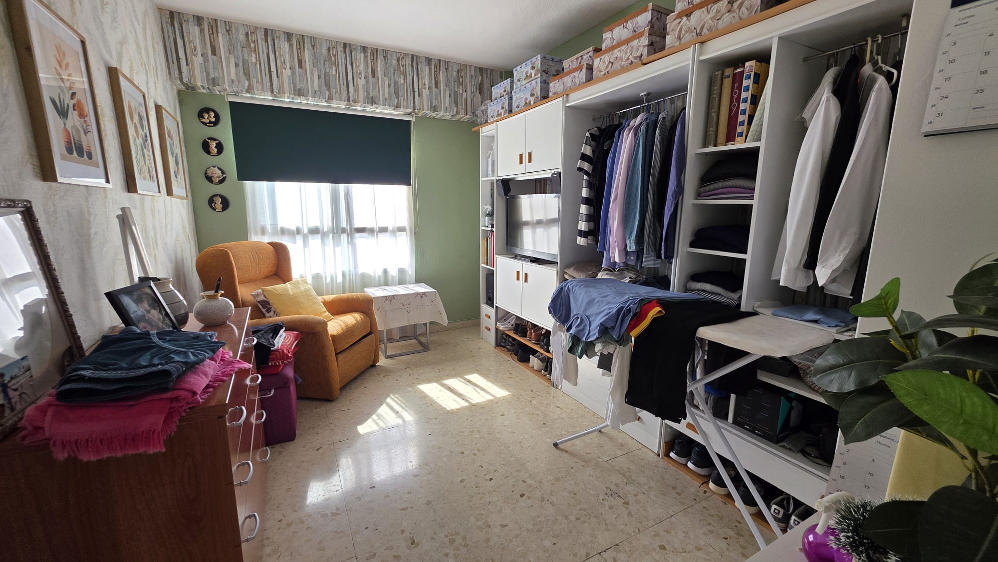 Imagen 8