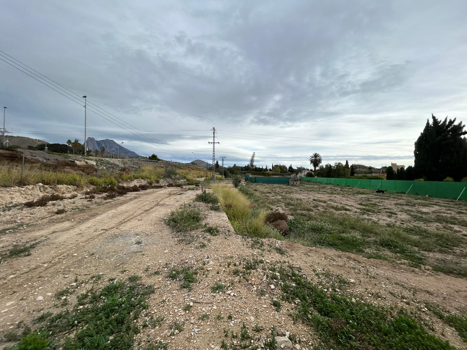Imagen 2